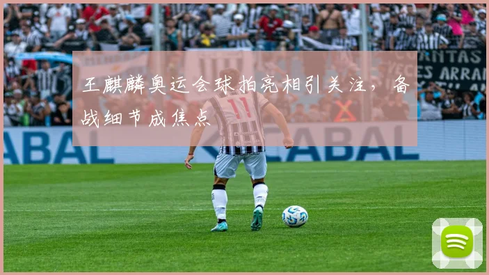 王麒麟奥运会球拍亮相引关注，备战细节成焦点