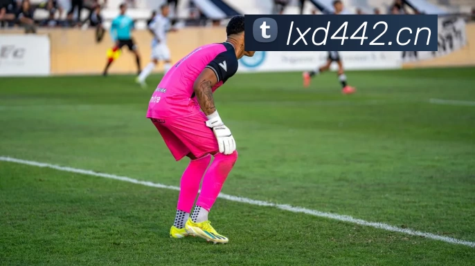 九游平台 - 九游(中国)一站式服务平台平台生态图